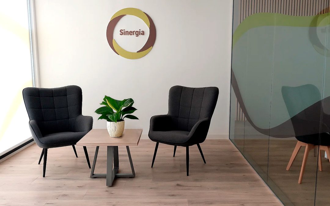 Fases de un proyecto de construcción industrial en Zaragoza dirigido por Sinergia Ingeniería y Gestión